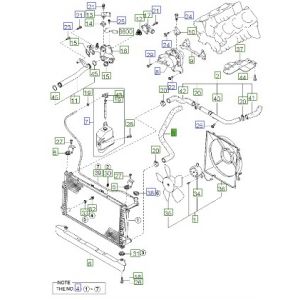 خرطوم رديتر ماء سفلي