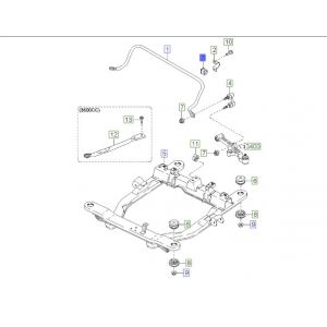 جلدة عامود التوازن