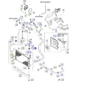 خرطوم رديتر ماء سفلي