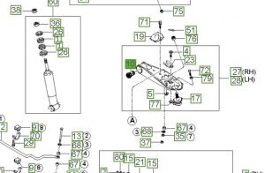 جلدة مقص سفلي