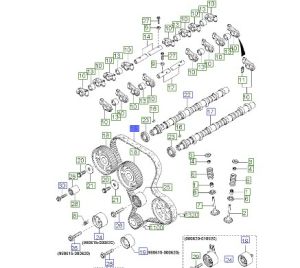 سير التايمن