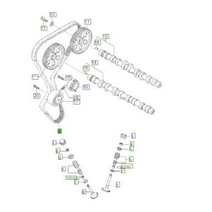 سير التايمن