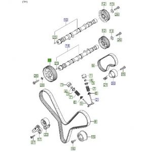 بكرة التايمن