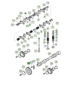 ترس عامود التايمن
