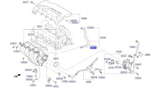 كلبس تثبيت الخرطوم