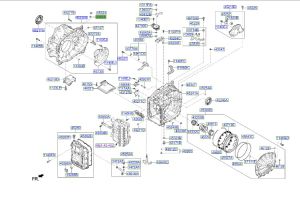 وجه صرة تصريف