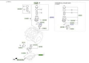 وجه صرة تصريف