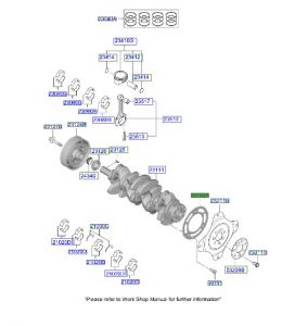 ترس حساس الكرنك