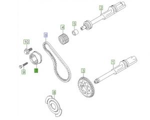 شداد سير التايمن