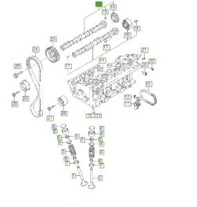 عامود كام الإنتيك (التايمن)