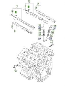ترس حساس الكامشافت (عامود التايمن)