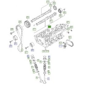 عامود كام الإكزوست (التايمن)