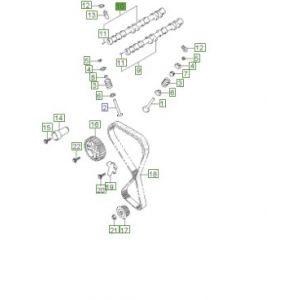 عامود كام الإكزوست (التايمن)