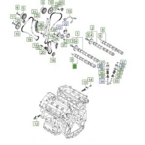 عامود كام الإكزوست (التايمن)