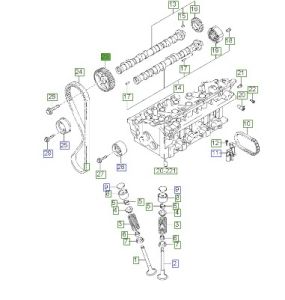 ترس تايمن عامود الكام
