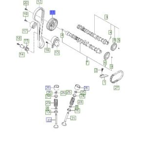 ترس تايمن عامود الكام