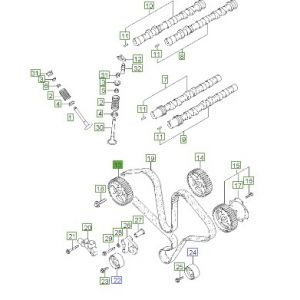 ترس تايمن عامود الكام