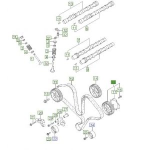 ترس تايمن عامود الكام