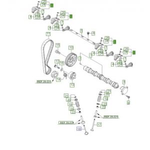 عصفور بلف (أ)