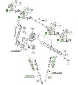 عصفور بلف (ب)