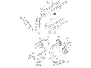 عامود كام الإكزوست (التايمن)