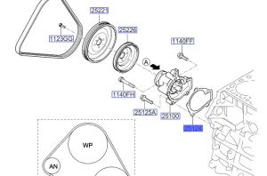 وجه مضخة الماء