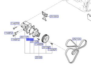 وجه مضخة الماء