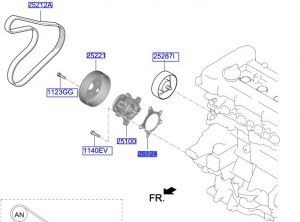 وجه مضخة الماء