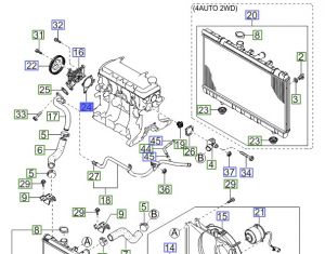 وجه مضخة الماء