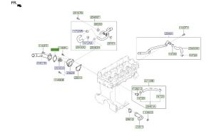 وجه كوع ماء