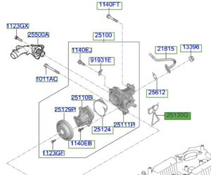 وجه مضخة الماء