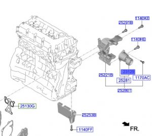 بكرة شداد سير
