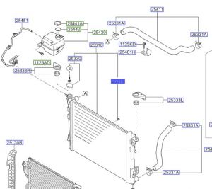 سدادة رديتر ماء سفليه