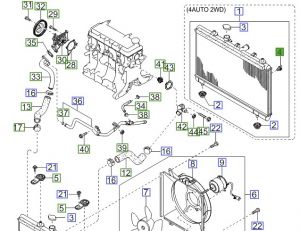 سدادة رديتر ماء سفليه