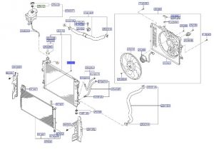 سدادة رديتر ماء سفليه