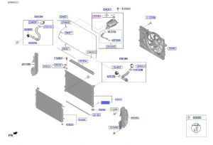 سدادة رديتر ماء سفليه