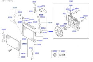 قاعدة رديتر علوية