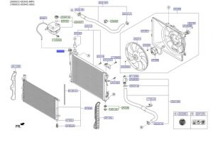 قاعدة رديتر علوية
