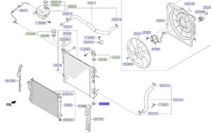 ربلة قاعدة رديتر