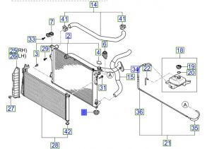 ربلة قاعدة رديتر