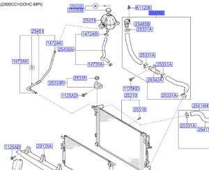 خرطوم ماء الرديتر سفلي
