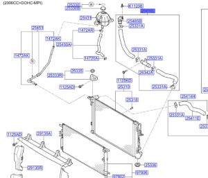 خرطوم ماء الرديتر سفلي