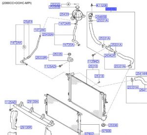 خرطوم ماء الرديتر سفلي
