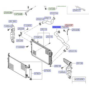 خرطوم ماء الرديتر سفلي