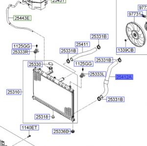 خرطوم ماء الرديتر سفلي