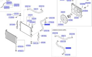 خرطوم ماء الرديتر سفلي