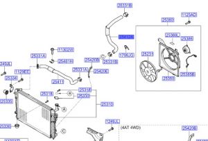 خرطوم ماء الرديتر سفلي