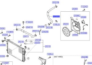 خرطوم ماء الرديتر سفلي