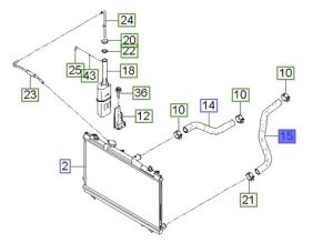 خرطوم ماء الرديتر سفلي