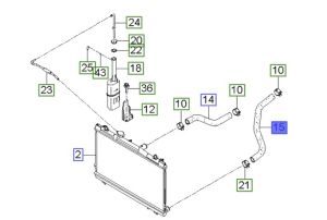 خرطوم ماء الرديتر سفلي